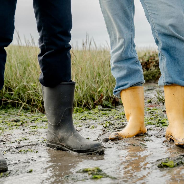 Zeeuwse delta als living lab